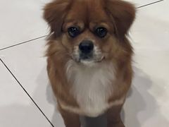 -美联众合24小时·皮肤科·外科·全科诊疗中心(华苑分院)