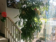 -奥园广场(广州番禺福德路店)