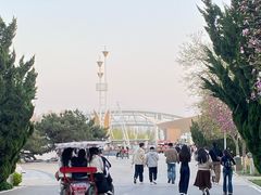 -石家庄市植物园