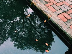 -江西科技学院