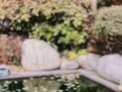 -郑州银基黄帝宫御温泉