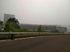 -奥体中心游泳馆