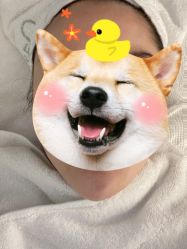 -纯粹医美