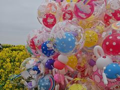 -三圣花乡旅游区