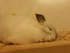 -龙猫仔乐园(惠福东路店)