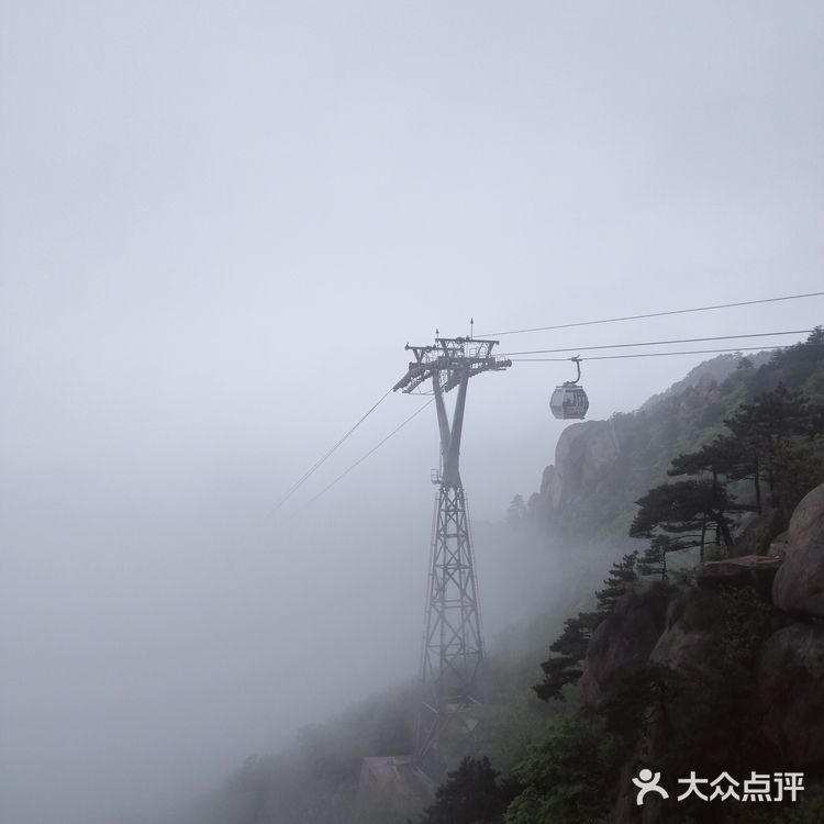 人间四月芳菲尽 花台杜鹃始盛开