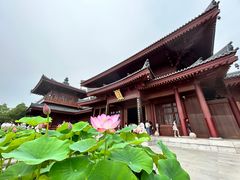 -牛首山文化旅游区