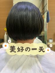 -环球蝶上美业连锁