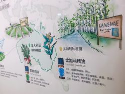 -CAMENAE嘉媚乐