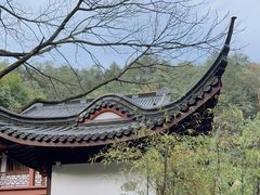-十八棵（老龙井）御茶园(老龙井店)
