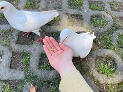 -上海野生动物园