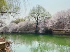 -颐和园