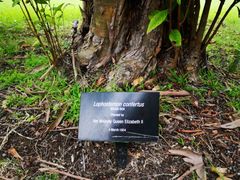 -墨尔本皇家植物园