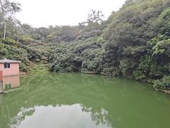 -水濂山森林公园