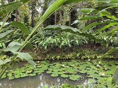 -中国科学院西双版纳热带植物园
