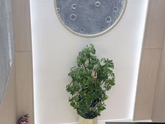 -北派修脚(田村店)