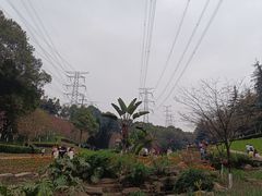 -重庆园博园