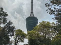 -梧桐山风景名胜区