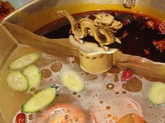 -小龙翻大江文化火锅(宽窄店)