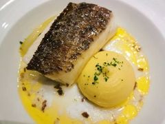 -迪拜帆船酒店海底餐厅