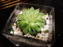 -威斯汀酒店Exchange大堂吧