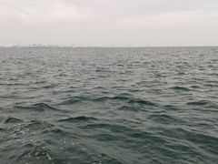 -乔木提恩海滩