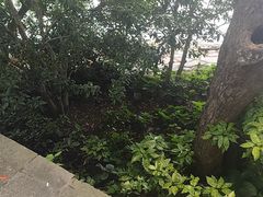 -西湖游船