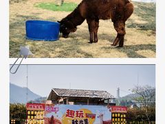 -盈香心动乐园