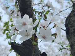 -龙美术馆(西岸馆)