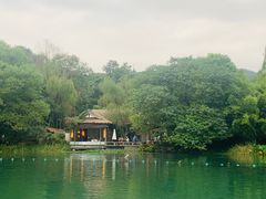 -西湖外事游船(花港观鱼码头)