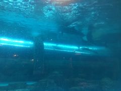 -波塞冬旅游度假区