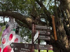 -观澜湖生态运动公社