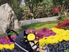 -永定河休闲森林公园