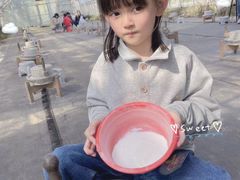 -前小桔亲子创意农场·草莓采摘·露营烧烤