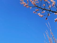 -蜀冈西峰生态公园