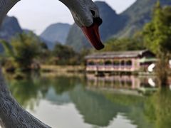 -靖西鹅泉风景区