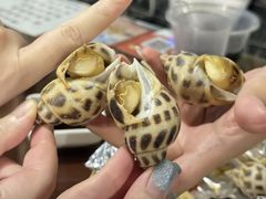 -辉记炭烧海鲜大排档·老字号(福田店)