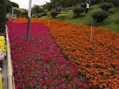 -五通灯塔公园