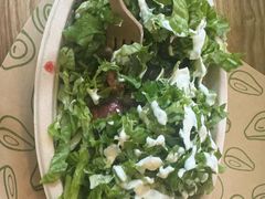 -油梨树AVOCADO TREE(顺义新国展店)