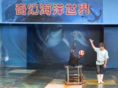 -苏州海洋馆
