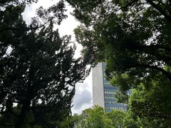 -上海瑞金洲际酒店