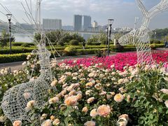 -立新湖公园