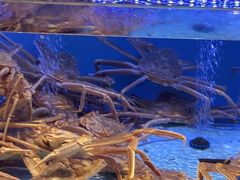 -阿伟海鲜楼·福建菜(延寿店)
