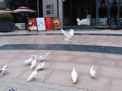 -中粮·祥云小镇