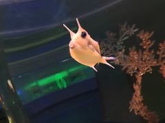 -常州海昌海洋探索馆