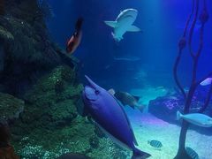 -沈阳海洋探索中心