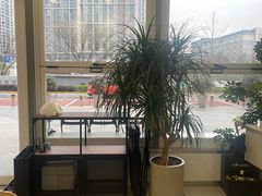 -MT麦如麦立送(梅溪新天地店)