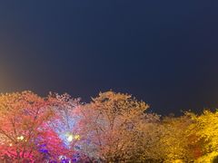 -哥老官重庆美蛙鱼头(宝山龙湖店)