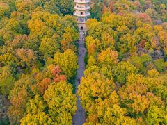 -灵谷景区