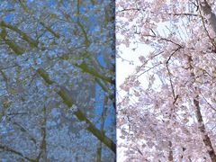 -龙美术馆(西岸馆)